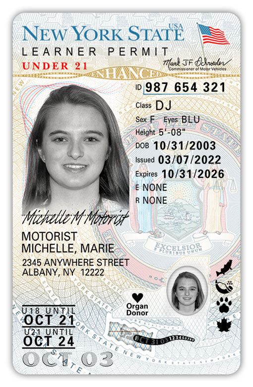 New Ny Id Card